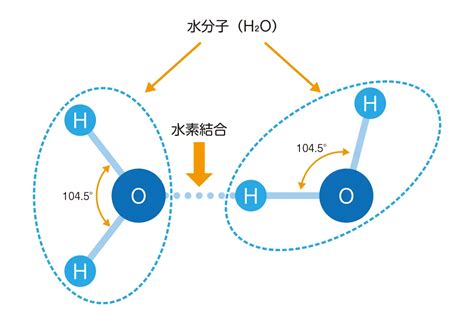 水 六角形|雪の結晶は、なぜ六角形？ 天からの手紙を解読した2。